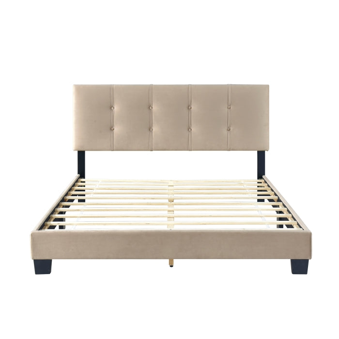 Newberry Platform Bed Frame